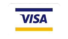 Custom Cardboard Visa